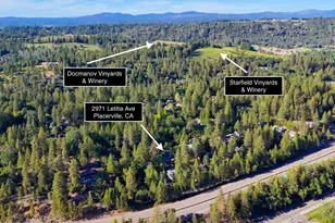 2971 Letitia Ave, Placerville, CA 95667 - Photo 26