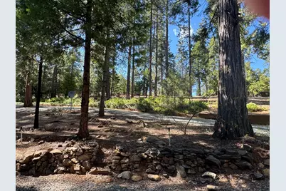 19380 Ponderosa Drive, Pioneer, CA 95666 - Photo 48