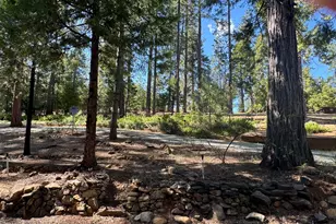 19380 Ponderosa Dr, Pioneer, CA 95666 - Photo 48
