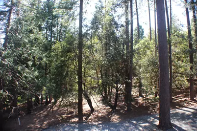 19380 Ponderosa Drive, Pioneer, CA 95666 - Photo 48