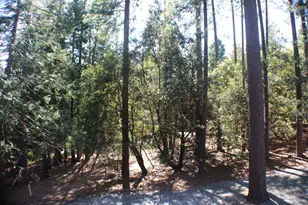 19380 Ponderosa Dr, Pioneer, CA 95666 - Photo 48