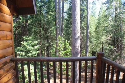 19380 Ponderosa Drive, Pioneer, CA 95666 - Photo 56