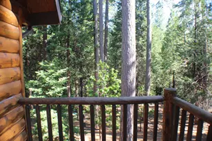 19380 Ponderosa Dr, Pioneer, CA 95666 - Photo 56