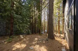 798 Blue Canyon, Blue Canyon, CA 95701 - Photo 34
