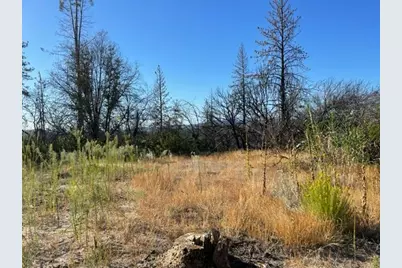 55 Cedar Tree Lane, Oroville, CA 95966 - Photo 10