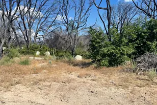 55 Cedar Tree Ln, Oroville, CA 95966 - Photo 1