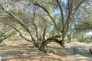43867 Trabuco Ct, Coarsegold, CA 93614 - Photo 8