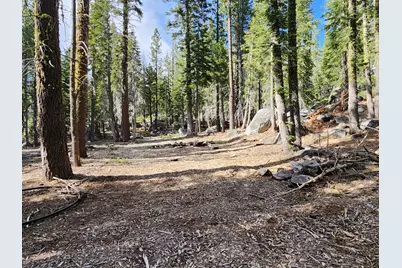 0 State Highway 4, Murphys, CA 95223 - Photo 2