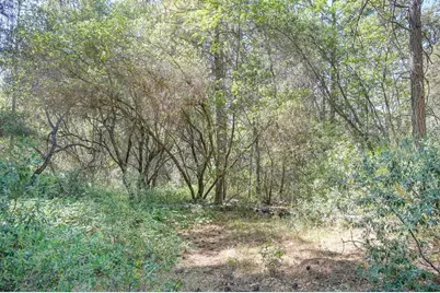 0 Conifer, Auburn, CA 95602 - Photo 20