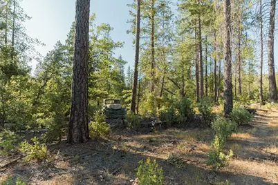 10902 Stout Lane, Coulterville, CA 95311 - Photo 14