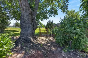 199 Briarcliff Dr, Folsom, CA 95630 - Photo 50