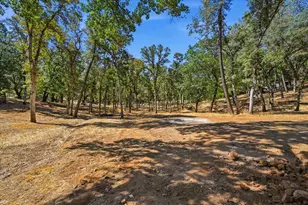 20581 Buck Ridge Rd, Grass Valley, CA 95949 - Photo 74