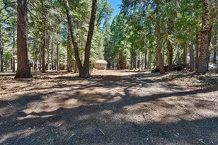740 Hideaway Loop, Alta, CA 95701 - Photo 56