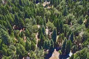 740 Hideaway Loop, Alta, CA 95701 - Photo 76