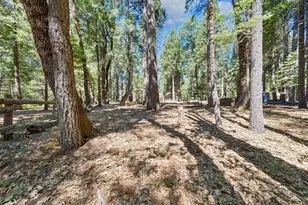740 Hideaway Loop, Alta, CA 95701 - Photo 42