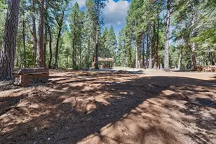 740 Hideaway Loop, Alta, CA 95701 - Photo 54