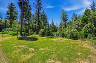 14381 Marysville Rd, Camptonville, CA 95922 - Photo 6