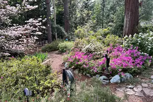 11897 Banner Ct, Nevada City, CA 95959 - Photo 68