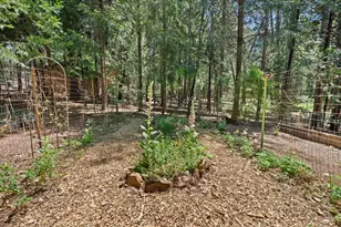 11897 Banner Ct, Nevada City, CA 95959 - Photo 62