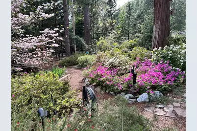11897 Banner Court, Nevada City, CA 95959 - Photo 70