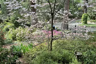 11897 Banner Ct, Nevada City, CA 95959 - Photo 6