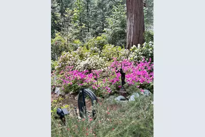 11897 Banner Court, Nevada City, CA 95959 - Photo 74