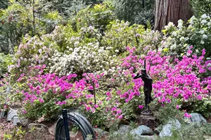 11897 Banner Ct, Nevada City, CA 95959 - Photo 74