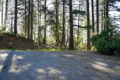 30220 Magra Road, Gold Run, CA 95717 - Photo 40