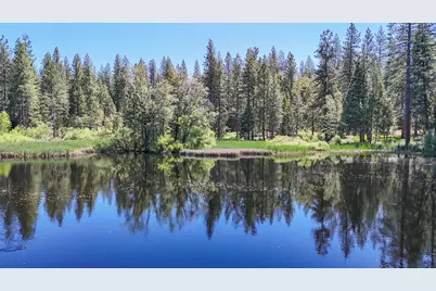 192 Vireo Way, Avery, CA 95224 - Photo 48