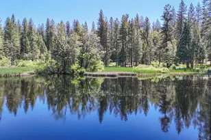 192 Vireo Wy, Avery, CA 95224 - Photo 48