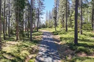 192 Vireo Wy, Avery, CA 95224 - Photo 46