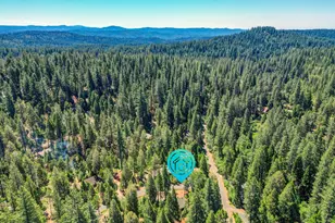 3640 Fawn Cir, Arnold, CA 95223 - Photo 54
