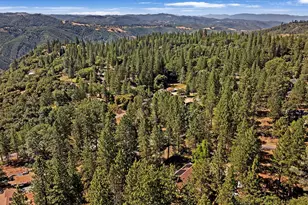 11380 Clinton Bar Rd, Pine Grove, CA 95665 - Photo 38