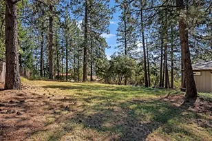 11380 Clinton Bar Rd, Pine Grove, CA 95665 - Photo 34