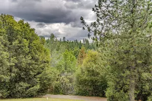 18461 Shake Ridge Rd, Sutter Creek, CA 95685 - Photo 66