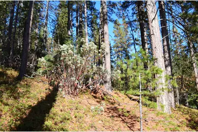 1703 War Hawk, Arnold, CA 95223 - Photo 12