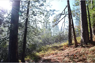 1703 War Hawk, Arnold, CA 95223 - Photo 1