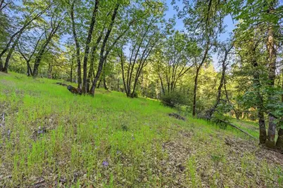 16095 Auburn Road, Grass Valley, CA 95949 - Photo 14