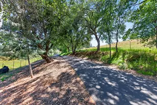 7570 Airola Rd, Vallecito, CA 95251 - Photo 54