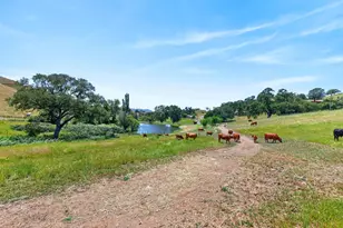 7570 Airola Rd, Vallecito, CA 95251 - Photo 4