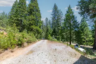 27297 Dew Drop Rd, Pioneer, CA 95666 - Photo 54