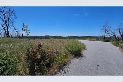 24920 Saddleback Lane, Colfax, CA 95713 - Photo 2