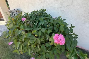 362 Garden Circle Dr, Manteca, CA 95336 - Photo 26