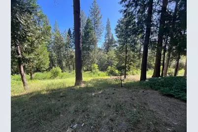 13706 Paelo Lane, Pine Grove, CA 95665 - Photo 30