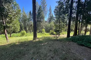 13706 Paelo Ln, Pine Grove, CA 95665 - Photo 30