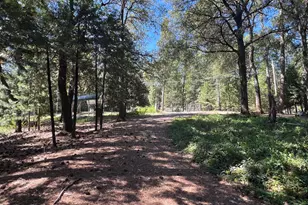 13706 Paelo Ln, Pine Grove, CA 95665 - Photo 38