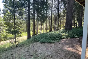 13706 Paelo Ln, Pine Grove, CA 95665 - Photo 40