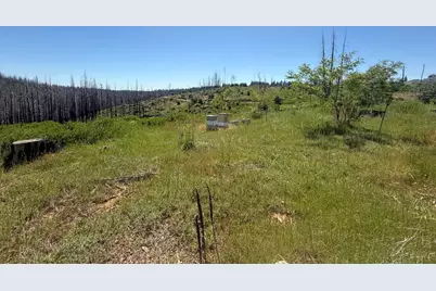 10340 Grizzly Flat Road, Grizzly Flats, CA 95636 - Photo 6