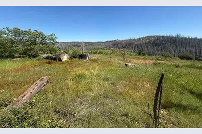 10340 Grizzly Flat Road, Grizzly Flats, CA 95636 - Photo 20