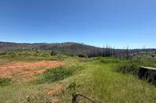 10340 Grizzly Flat Rd, Grizzly Flats, CA 95636 - Photo 1